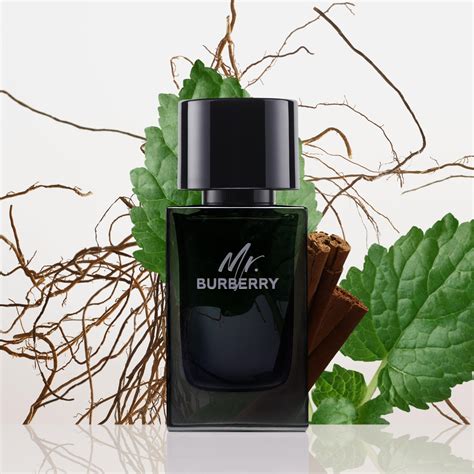 mr burberry tigota|mr burberry eau de parfum.